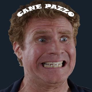 Foto profilo di CANE PAZZO